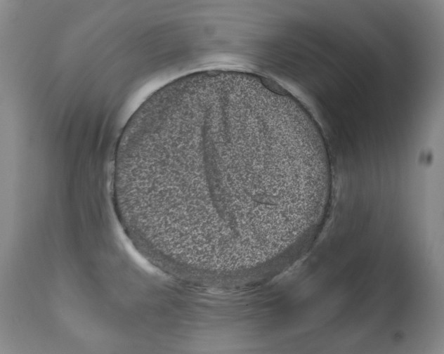 X0000110871383200907161428