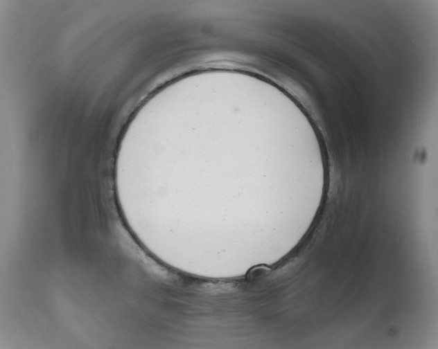 X0000110871384200907161428