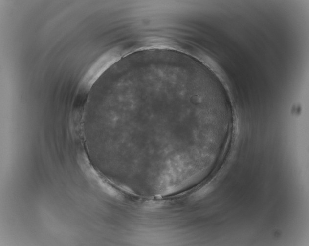 X0000110871385200907161428