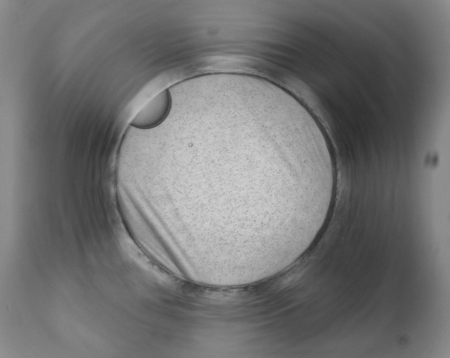 X0000110871386200907161428