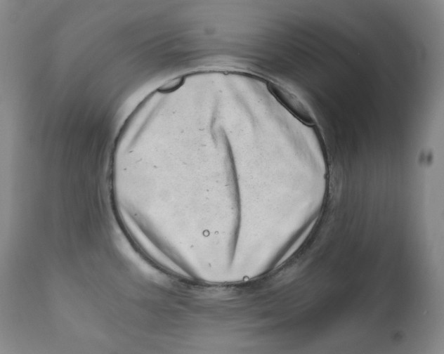 X0000110871387200907161428