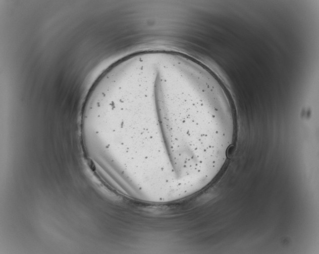 X0000110871388200907161428