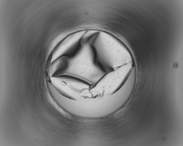 X0000110871389200907161428