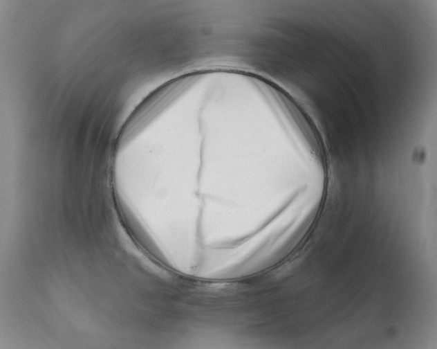 X0000110871390200907161428