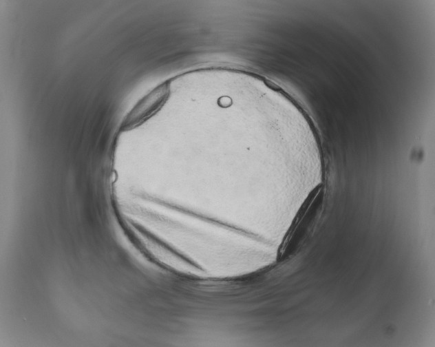 X0000110871391200907161428