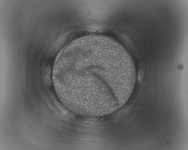 X0000110871396200907161427