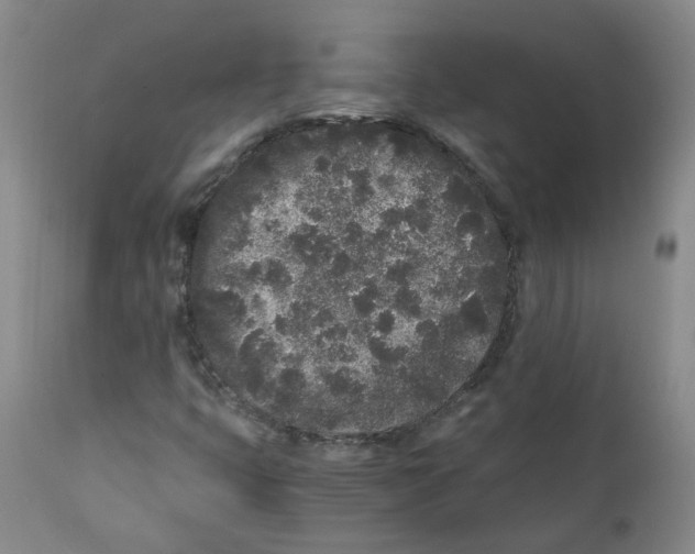 X0000110871399200907161427