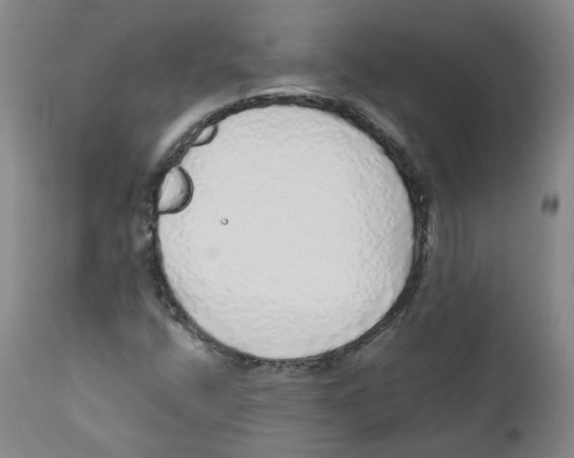 X0000110871400200907161427