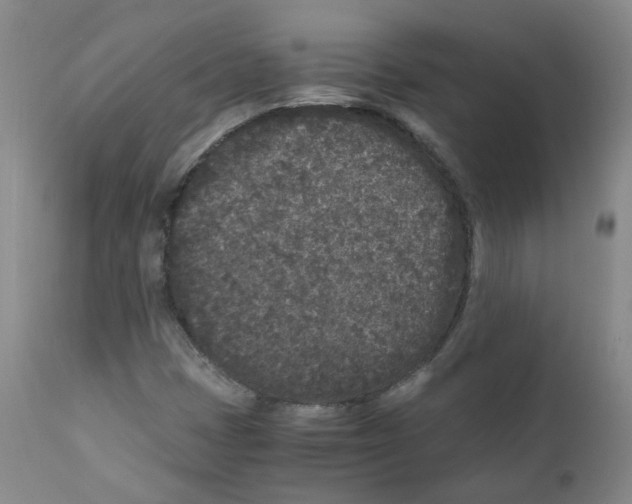 X0000110871401200907161428