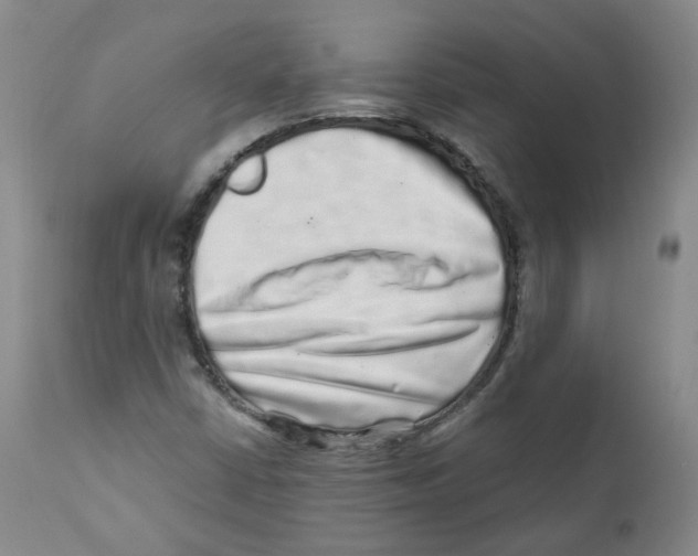 X0000110871402200907161428