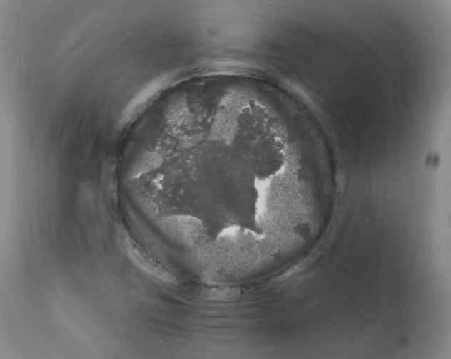 X0000110871403200907161428