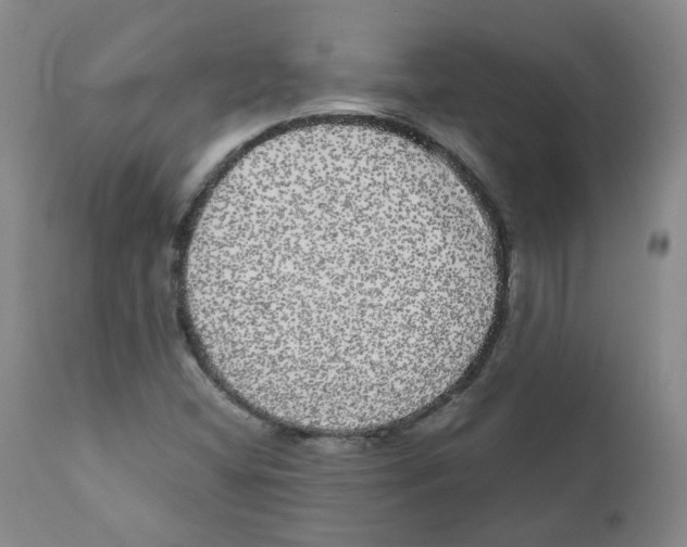 X0000110871404200907161428