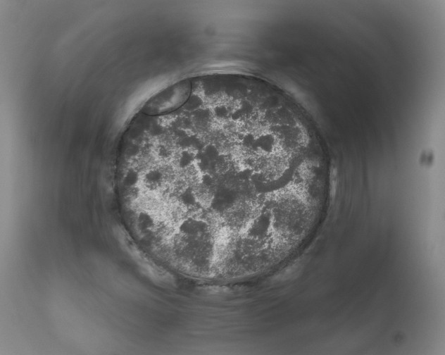 X0000110871405200907161428