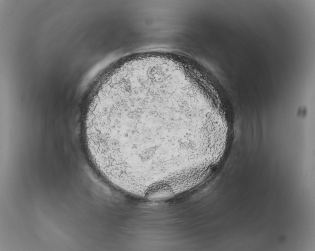 X0000110871406200907161428