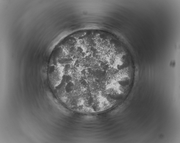 X0000110871409200907161428