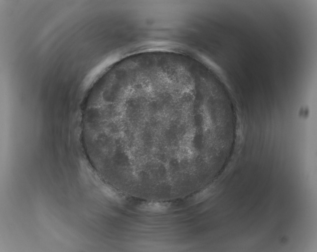 X0000110871411200907161428