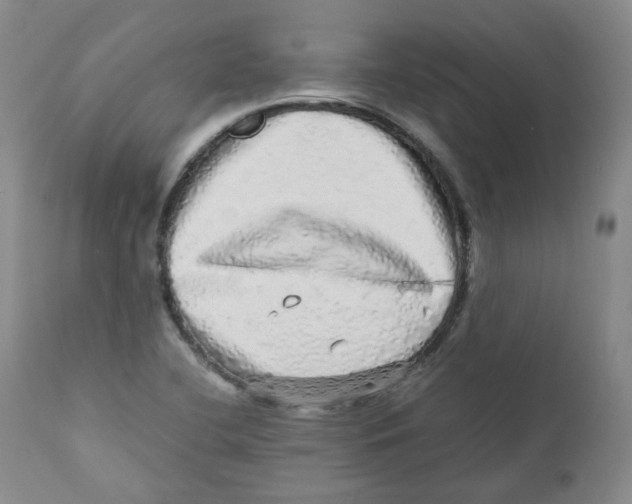 X0000110871412200907161428