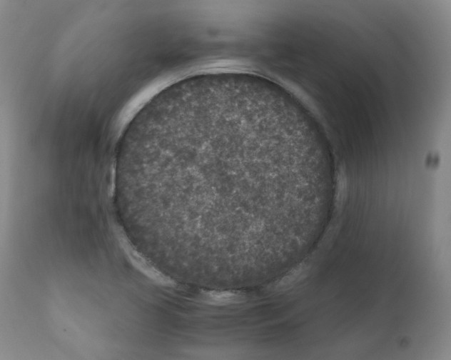 X0000110871413200907161428