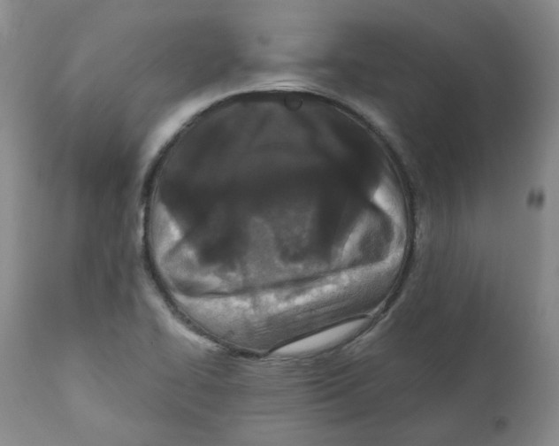 X0000110871414200907161428