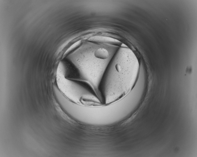 X0000110871417200907161428