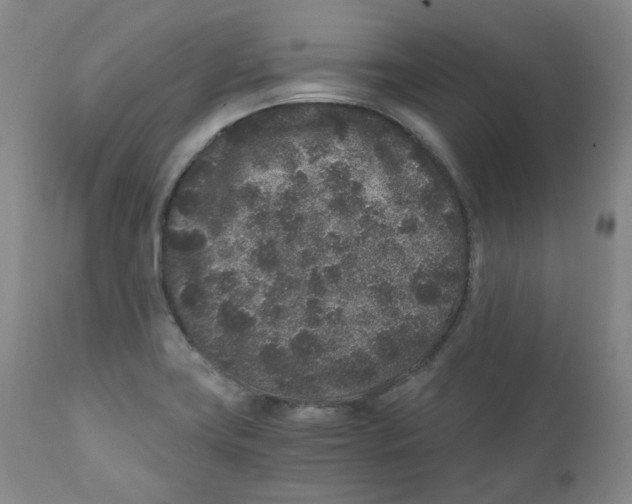 X0000110871419200907161428