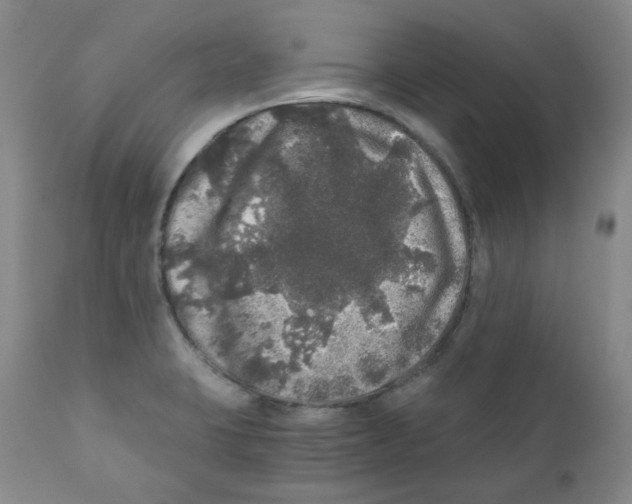 X0000110871423200907161428