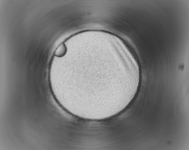 X0000110871424200907161428