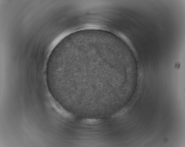 X0000110871427200907161428