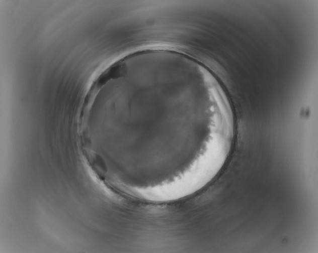 X0000110871428200907161428