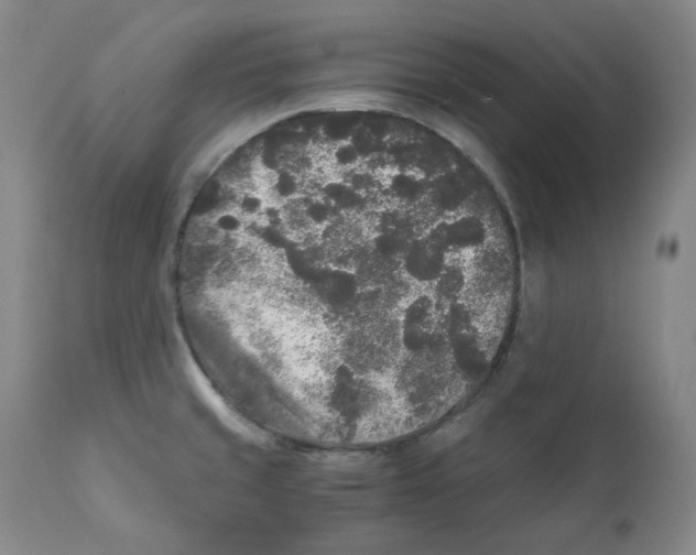 X0000110871429200907161428