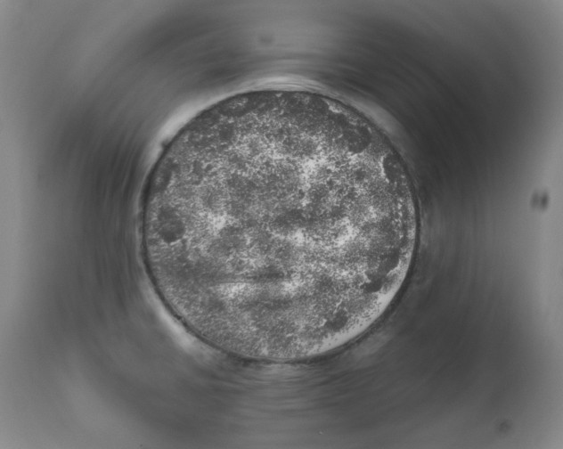 X0000110871430200907161428