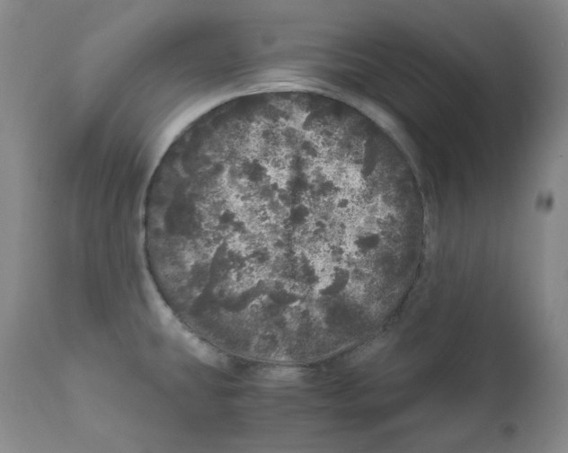 X0000110871431200907161428