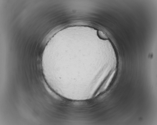 X0000110871433200907161428