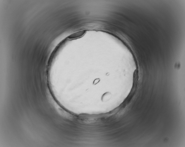 X0000110871434200907161428