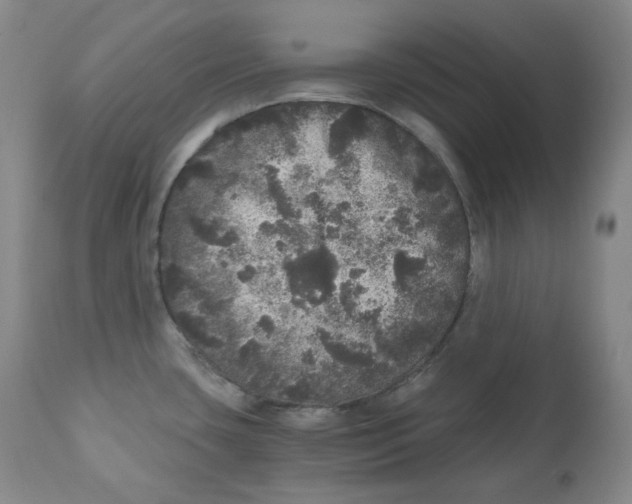 X0000110871435200907161428