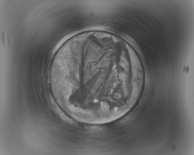 X0000110871436200907161428