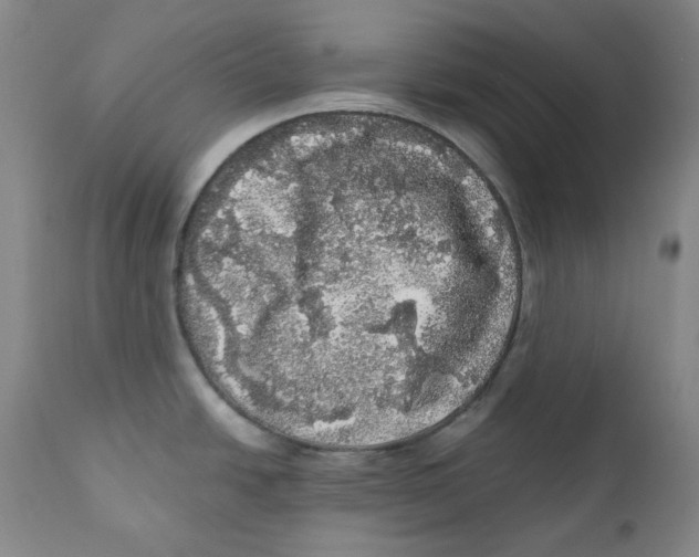 X0000110871438200907161428