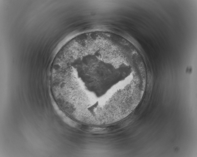 X0000110871439200907161428