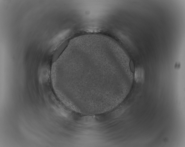 X0000110871444200907161427