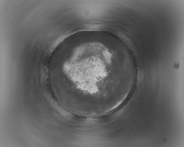 X0000110871449200907161427