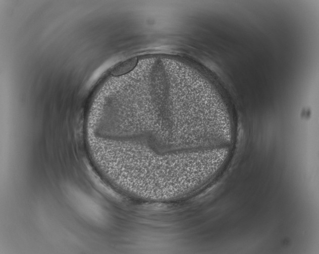 X0000110871450200907161427