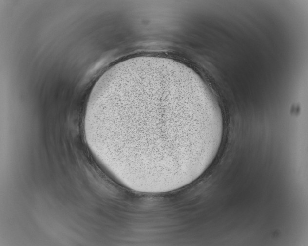 X0000110871451200907161427