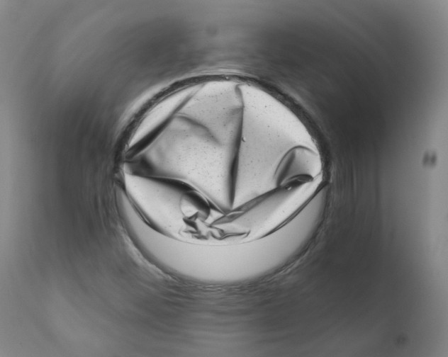 X0000110871452200907161427