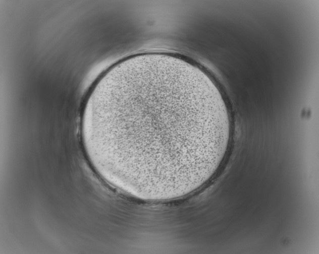 X0000110871461200907161427