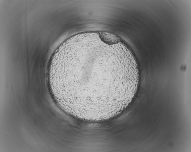 X0000110871467200907161427