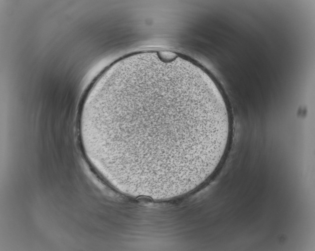 X0000110871469200907161427