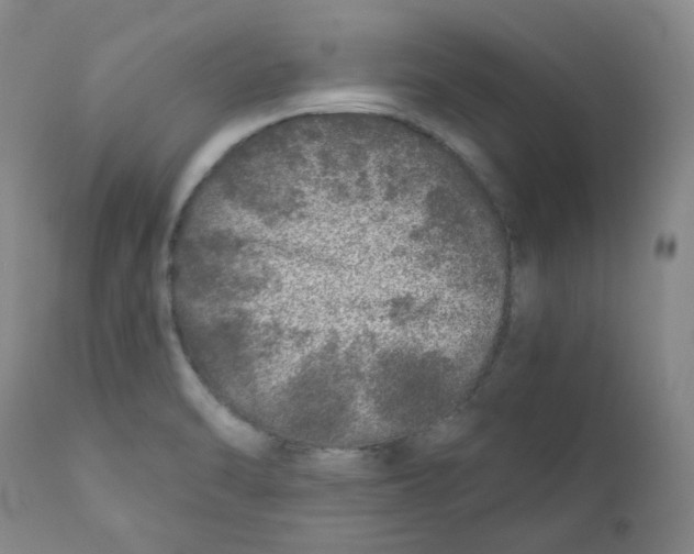 X0000110871470200907161427