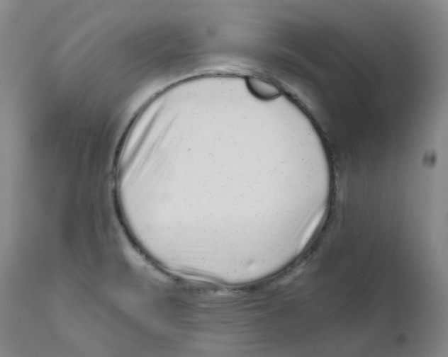 X0000110871471200907161427