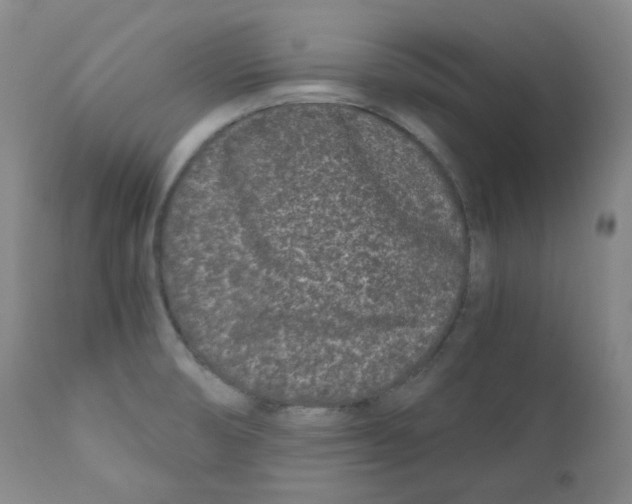 X0000110871474200907161427