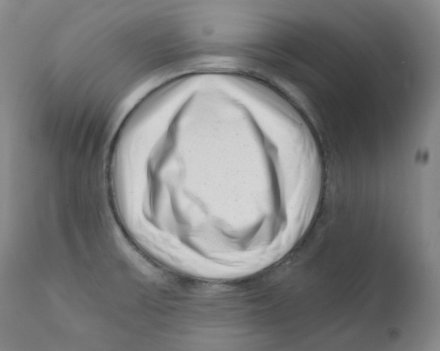 X0000110871475200907161427